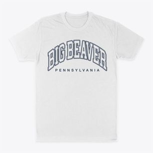 Big Beaver Pennsylvania Inline Classic Dad T-Shirt