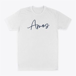 Ames New Hampshire Freestyle Classic Dad T-Shirt