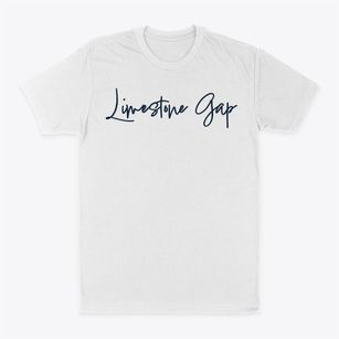 Limestone Gap Delaware Freestyle Classic Dad T-Shirt