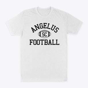Angelus South Carolina Football Classic Dad T-Shirt