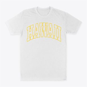  Hawaii Trendy State Classic Dad T-Shirt
