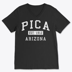 Pica Arizona Classic Established Soft Lightweight V-Neck