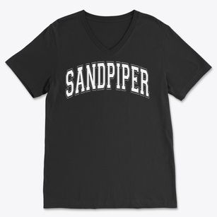 Sandpiper Elementary School Varsity Arch Soft Lightweight V-Neck