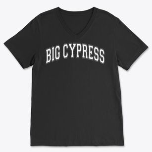 Big Cypress Elementary School Varsity Arch Soft Lightweight V-Neck