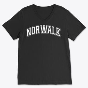 Norwalk Middle School Varsity Arch Soft Lightweight V-Neck