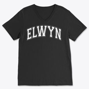 Elwyn G Campbell Elementary School Varsity Arch Soft Lightweight V-Neck