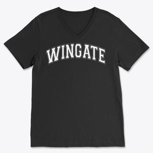 George W. Wingate High School Varsity Arch Soft Lightweight V-Neck