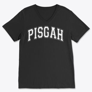 Pisgah High School Varsity Arch Soft Lightweight V-Neck