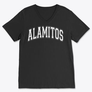 Alamitos Intermediate School Varsity Arch Soft Lightweight V-Neck