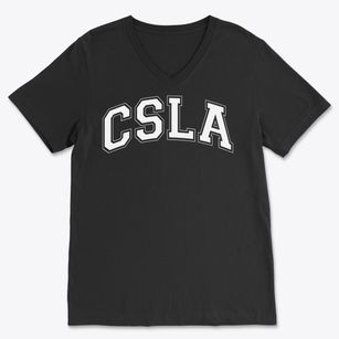 Chattanooga School For The Liberal Arts Varsity Arch Soft Lightweight V-Neck
