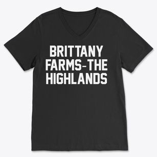 Brittany Farms-the Highlands Pennsylvania Classic Block Soft Lightweight V-Neck