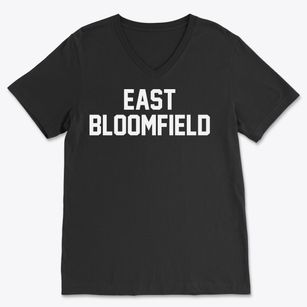 East Bloomfield New York Classic Block Soft Lightweight V-Neck