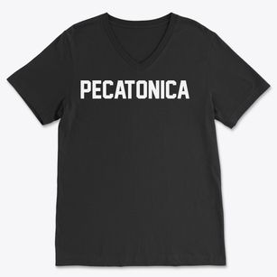 Pecatonica Illinois Classic Block Soft Lightweight V-Neck