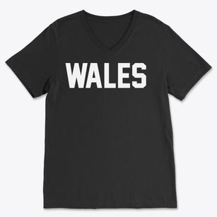 Wales Massachusetts Classic Block Soft Lightweight V-Neck
