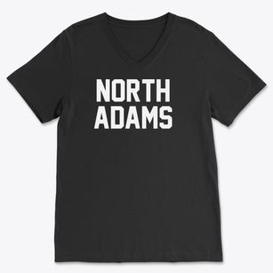 North Adams Michigan Classic Block Soft Lightweight V-Neck