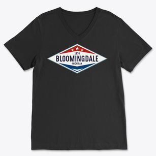 Bloomingdale Michigan Diamond Star Soft Lightweight V-Neck