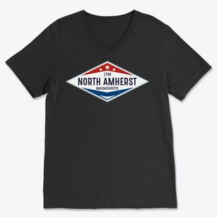 North Amherst Massachusetts Diamond Star Soft Lightweight V-Neck