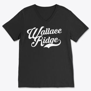 Wallace Ridge Louisiana Vintage Team Soft Lightweight V-Neck