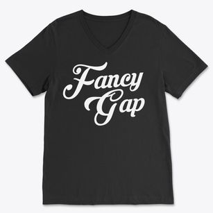Fancy Gap Virginia Vintage Team Soft Lightweight V-Neck