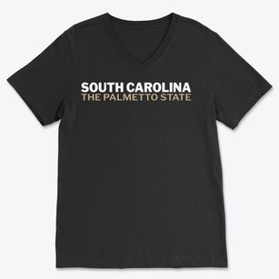 South Carolina White and Gold Soft Lightweight V-Neck