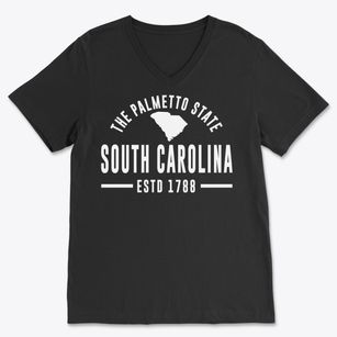  South Carolina Motto Soft Lightweight V-Neck