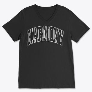Harmony Maine Trendy Block Soft Lightweight V-Neck
