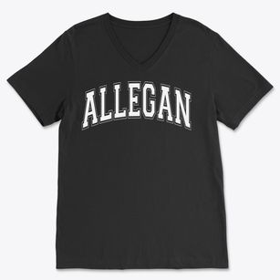 Allegan Michigan Varsity Soft Lightweight V-Neck