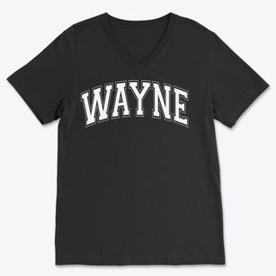 Wayne New York Varsity Soft Lightweight V-Neck