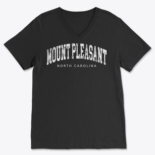 Mount Pleasant North Carolina Urban Vibe Soft Lightweight V-Neck