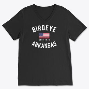 Birdeye Arkansas Patriot Soft Lightweight V-Neck