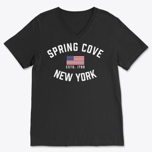 Spring Cove New York Patriot Soft Lightweight V-Neck