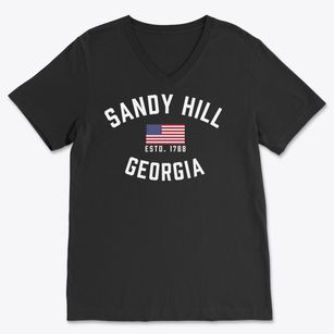 Sandy Hill Georgia Patriot Soft Lightweight V-Neck