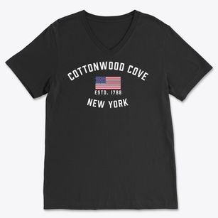 Cottonwood Cove New York Patriot Soft Lightweight V-Neck
