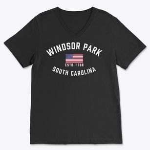 Windsor Park South Carolina Patriot Soft Lightweight V-Neck