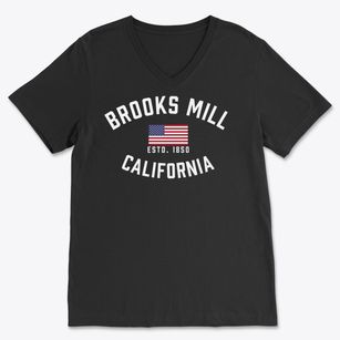 Brooks Mill California Patriot Soft Lightweight V-Neck