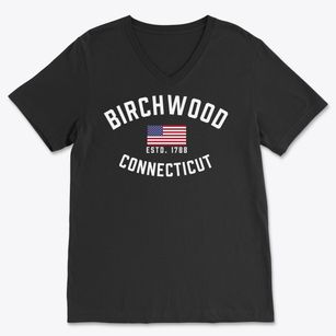 Birchwood Connecticut Patriot Soft Lightweight V-Neck