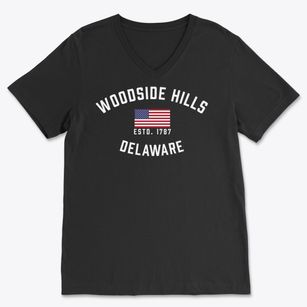 Woodside Hills Delaware Patriot Soft Lightweight V-Neck