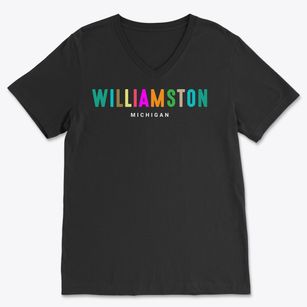 Williamston Michigan Color Pop Soft Lightweight V-Neck