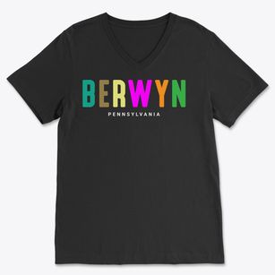 Berwyn Pennsylvania Color Pop Soft Lightweight V-Neck