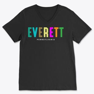 Everett Pennsylvania Color Pop Soft Lightweight V-Neck