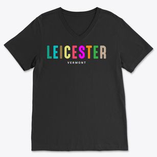 Leicester Vermont Color Pop Soft Lightweight V-Neck