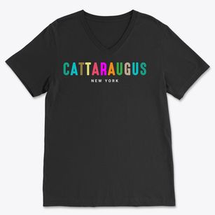 Cattaraugus New York Color Pop Soft Lightweight V-Neck