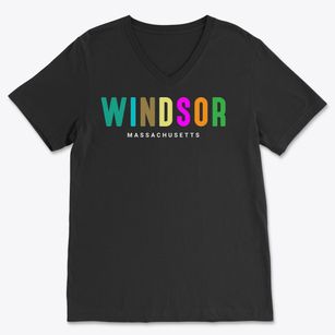 Windsor Massachusetts Color Pop Soft Lightweight V-Neck