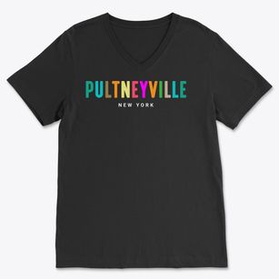 Pultneyville New York Color Pop Soft Lightweight V-Neck