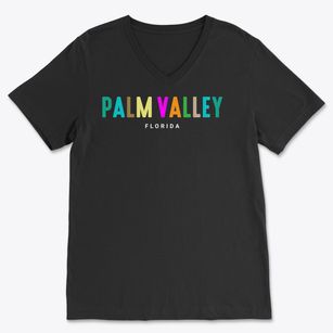 Palm Valley Florida Color Pop Soft Lightweight V-Neck