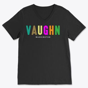 Vaughn Washington Color Pop Soft Lightweight V-Neck