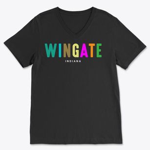 Wingate Indiana Color Pop Soft Lightweight V-Neck