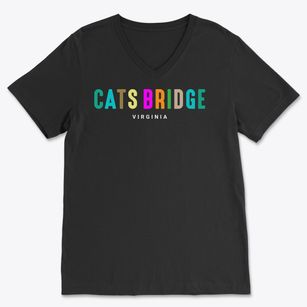 Cats Bridge Virginia Color Pop Soft Lightweight V-Neck