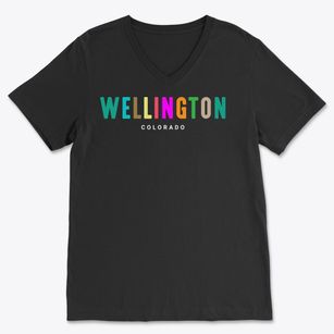 Wellington Colorado Color Pop Soft Lightweight V-Neck