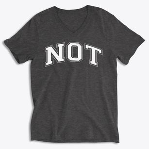 Not Your Ordinary School Varsity Arch Soft Lightweight V-Neck